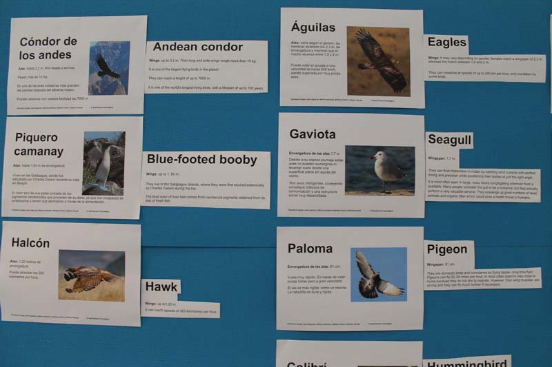 Semana Ciencias en Los Tilos